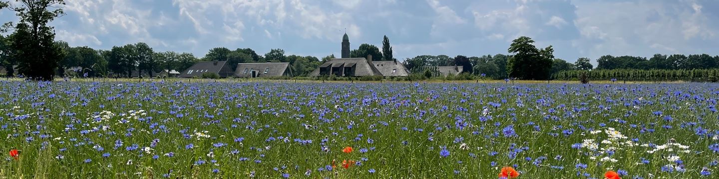 De Zeeuw Makelaars