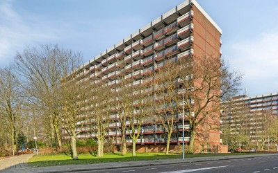 H. Cleynder. 491