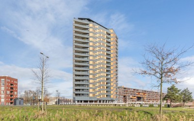 Ecuplein 12