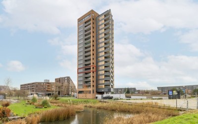 Ecuplein 23
