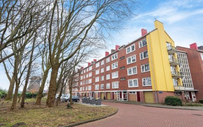 Willem Mole. 15-3