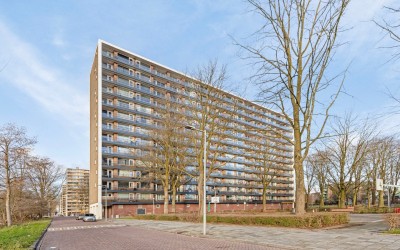 Langswater 331