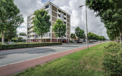 Van Boshuizenstraat 501