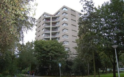 Gouden Leeuw 206