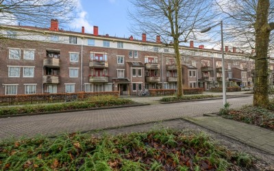 Vianenstraat 113