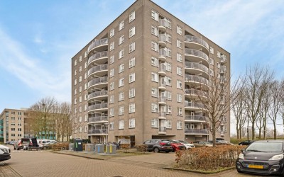 Zeezigt 286