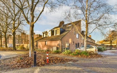 Tapijtschelp 12