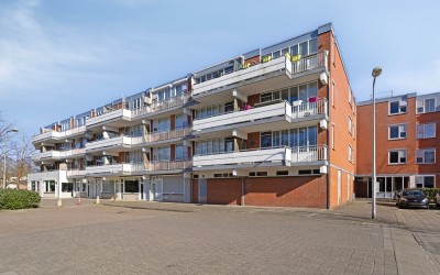 Havikskruid 70