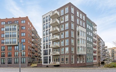 Willem Dudo. 245