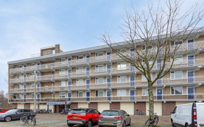 Hoeksewaard 39