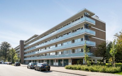 Maarten Lut. 209