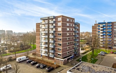 Boterbloem 51