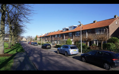 Tutein Nolt. 20