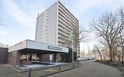 De Roerdomp 42