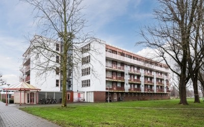 Leverkruidw. 51