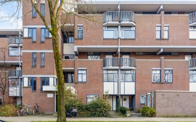 Hollandsch. 241
