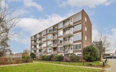 Reigerstraat 19