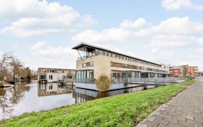 Zonnebaars 3