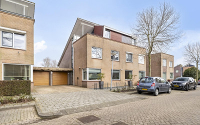 Wilgenhaant. 28