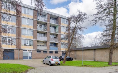 Zilverschoo. 118
