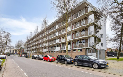 Zilverschoo. 94