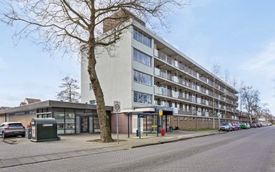 Zilverschoo. 98