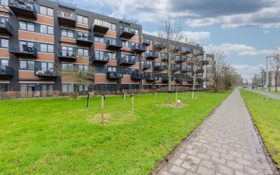 Zandsteen 37