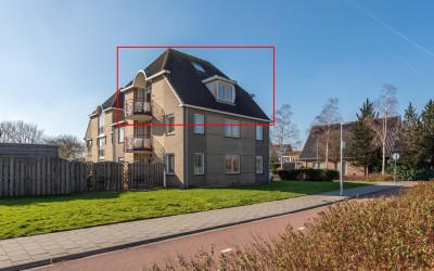 Dorsvlegel 42