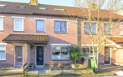 Hoefblad 166
