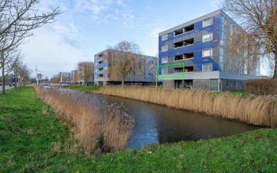 Schaapskuil. 7