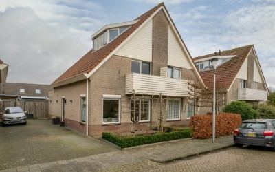 Scholekster 5