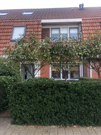 Keppelsloot 7