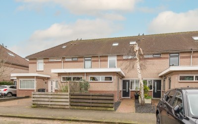 Moerasandoorn 41