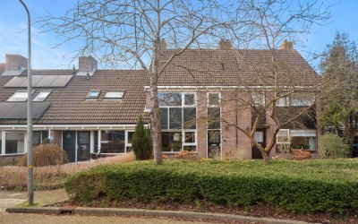 Groenling 4