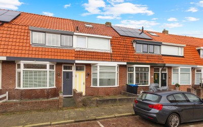Goudsbloems. 18