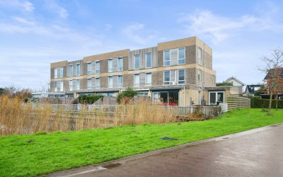 Beukenhout 1
