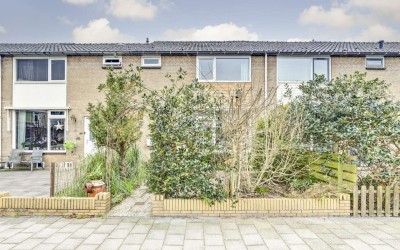 Cornelis Pr. 10