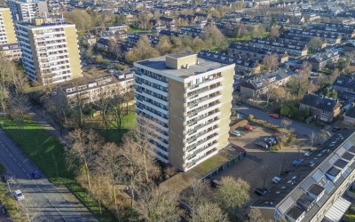 De Loet 244