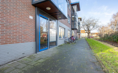 van Borsselestraat 59