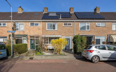 van Woesikstraat 18