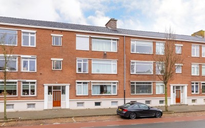 Linnaeusstr. 125