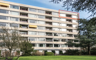 Zandvoorter. 298