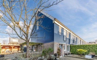 Landleeuw 20