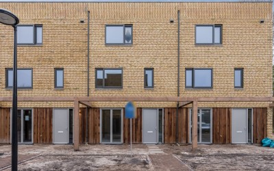 Kardinaalsm. 20