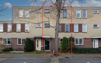 Korenbloem 22