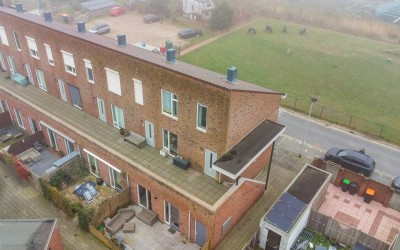 Zwenkgras 29
