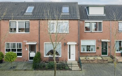 Ridderspoor 16