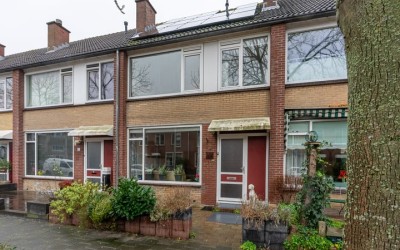 Het Cortela. 10