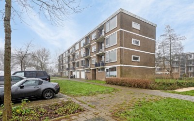 Jan Steenla. 8