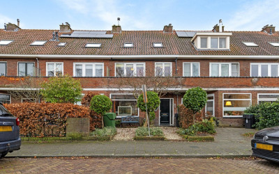 Willem de Z. 13